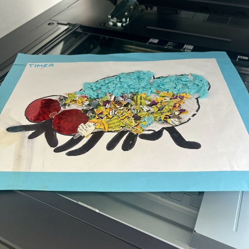 Fotoscan inkl. Bildverbesserung